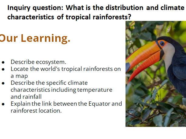 What is the distribution and climate characteristics of tropical rainforests? KS3 Geography