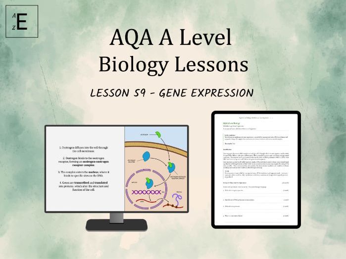 AQA A Level Biology Lesson 59 - Gene Expression