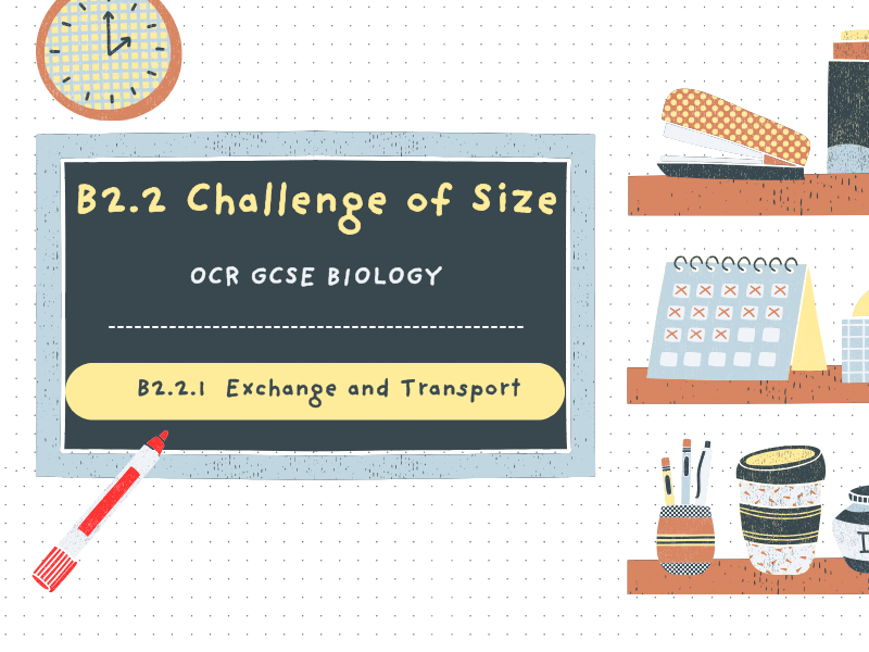 Exchange and Transport - OCR GCSE Biology - Topic B2.2 - Gateway A