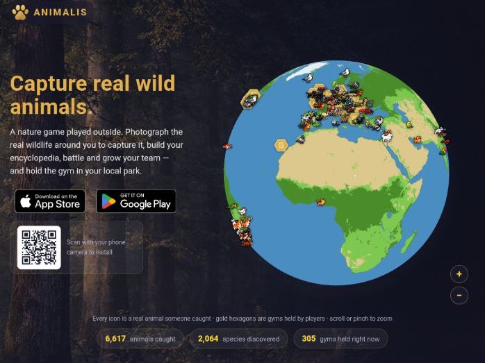 Zoo Trip Animal Game: Free KS1/KS2 Activity