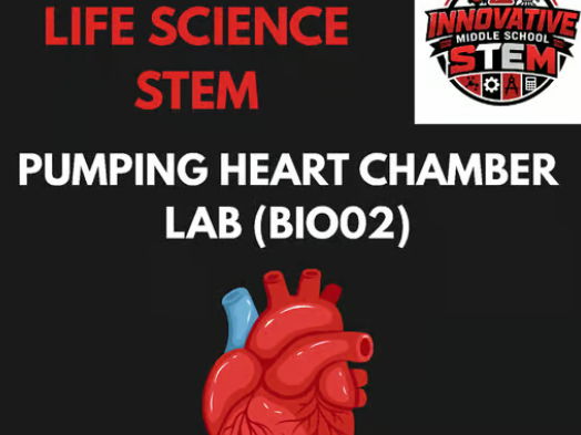 Pumping Heart Chamber STEM Lab BIO02