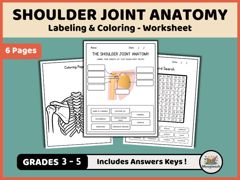 Shoulder Joint Anatomy | Skeletal System | Labeling | Biology | Coloring Worksheet | KS2 | KS3 | Sci