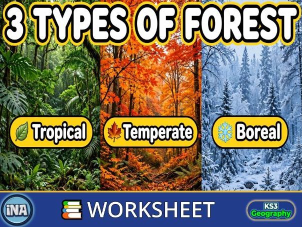 The Forests of the World - KS3 Geography Worksheet