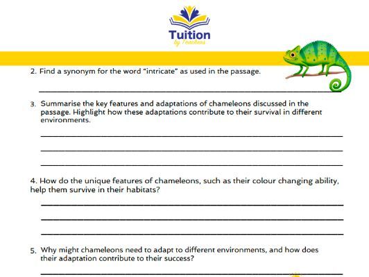 39. Year 6 Reading Comprehension & Punctuating Dialogue