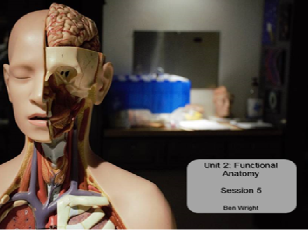 Functional Anatomy BTEC Nationals Sport and Exercise Science Unit 2 Lesson 5