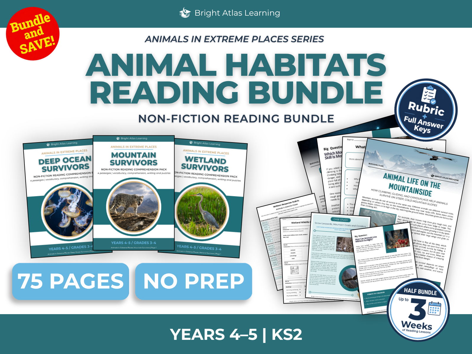 Deep Ocean, Mountain and Wetland Animals Reading Bundle | KS2 Years 4–5