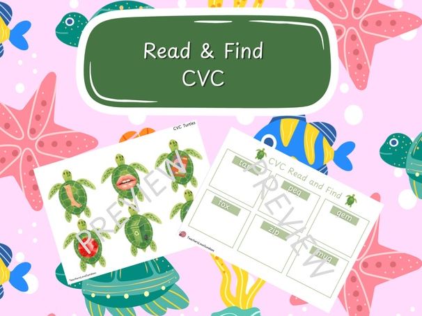 Turtle CVC Read & Find