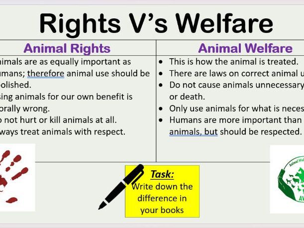 Use and abuse of animals (& food) part 1