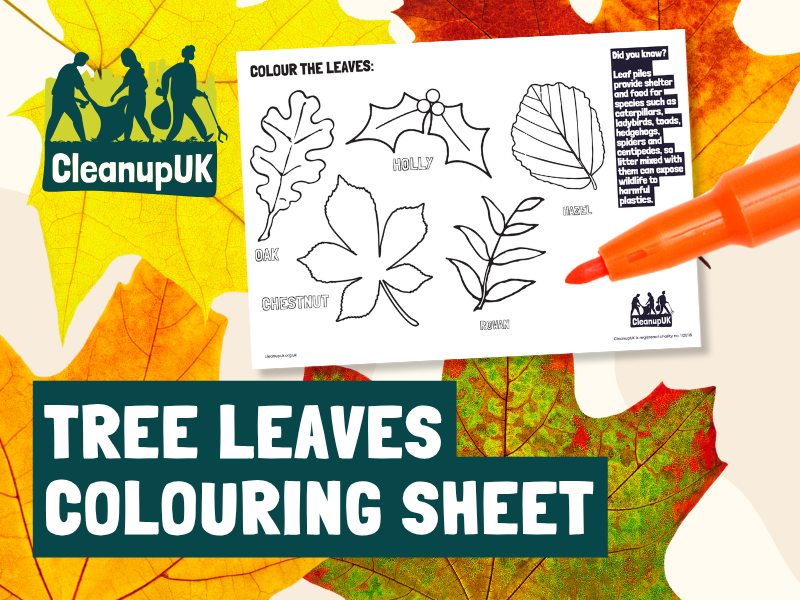 Tree Leaves Colouring Sheet – CleanupUK