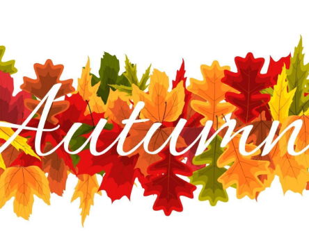 Autumn Writing Activity | KS1 Adjectives & Descriptive Writing