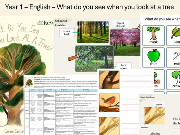 Year 1 English Planning - What do you see when you look at a tree?