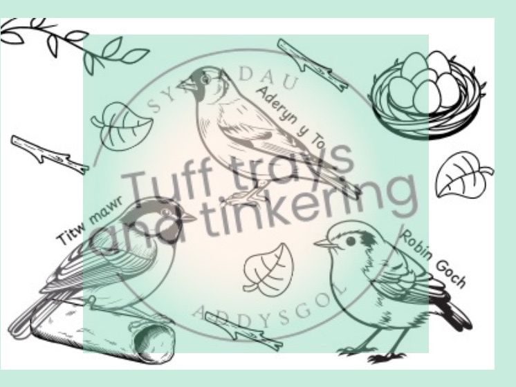 lliwio derbyn eyfs ps1 cyfnod sylfaen birdwatch week adar gwylio