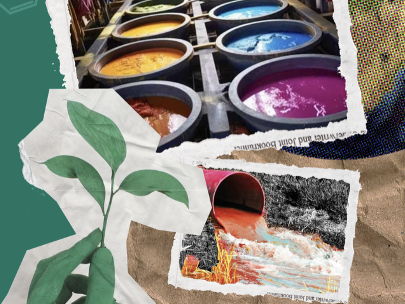 Textiles Environmental Issues Postcards