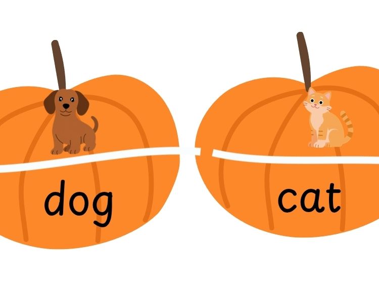 CVC pumpkins