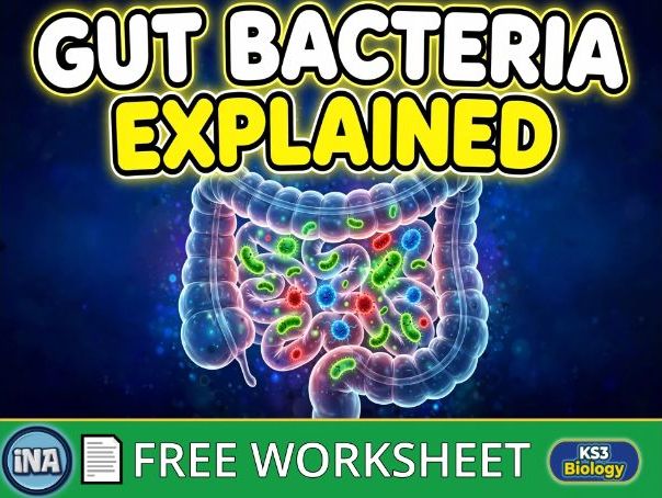 Bacteria in the Digestive System - FREE KS3 Biology Worksheet