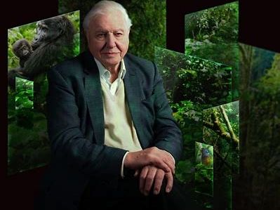 Key stage 3/ assembly - David Attenborough
