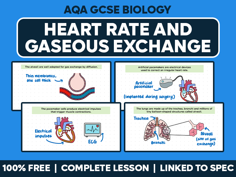 GCSE AQA Biology Complete Lesson - Heart Rate and Gaseous Exchange