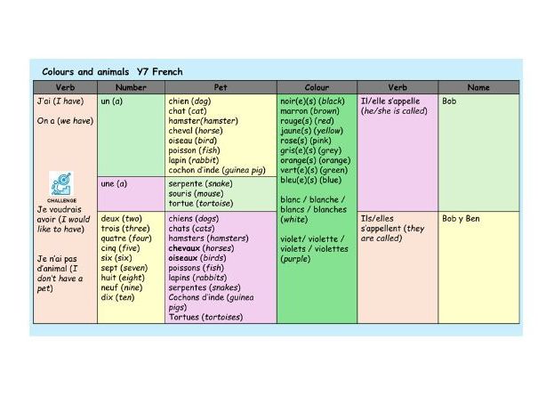 Colours and animals Y7 French 2 lessons