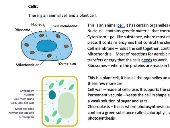 AQA Combined GCSE biology paper 1 notes (units 1-4)