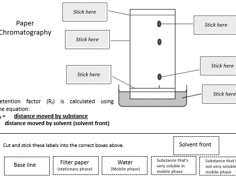 Paper chromatography cut and stick