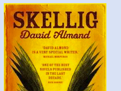 ‘Skellig’ - David Almond -Lesson 27 - Chapters 30 and 31 - Year 6 or lower KS3