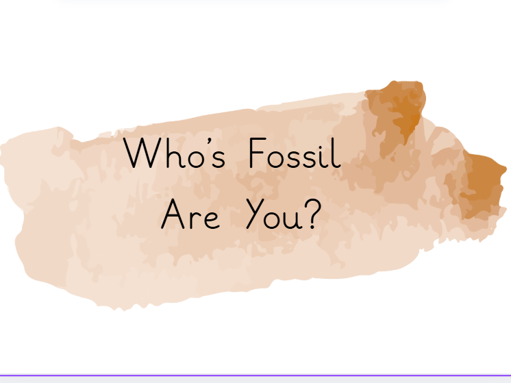 Who's Fossil Are You?