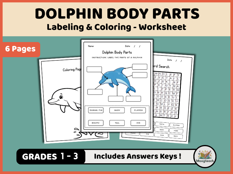 Dolphin Body Parts | Marine Biology | Mammals | Labeling & Coloring | Science Worksheet | KS1 | KS2