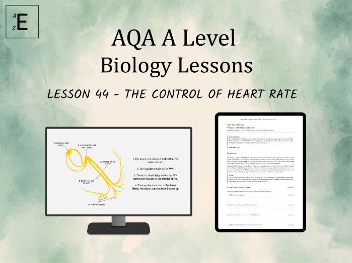 AQA A Level Biology Lesson 44 - The Control of Heart Rate