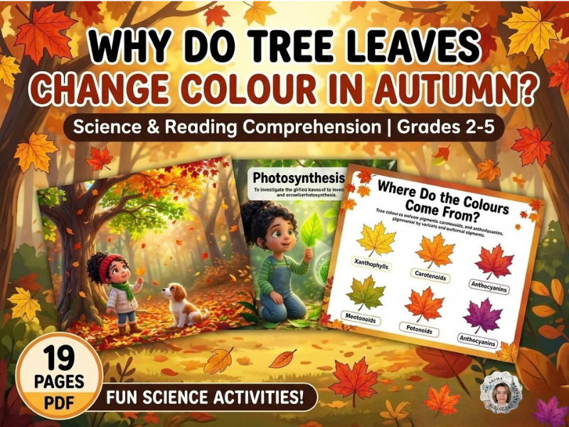 Why Do Tree Leaves Change Colour in Autumn?