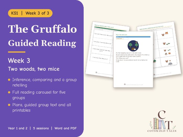 The Gruffalo Guided Reading KS1 Week 3: Two Woods, Two Mice