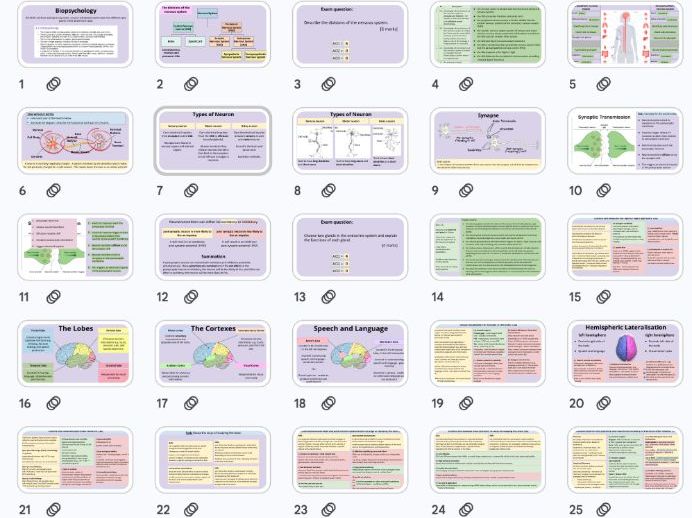 Biopsychology Revision - NEW AQA Psychology 2025 Specification
