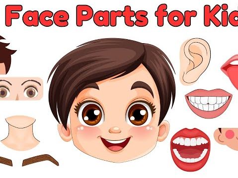 Body Parts - Build A Face