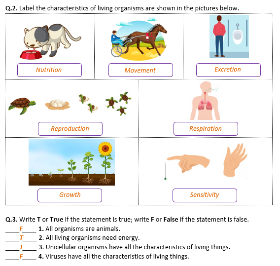 Characteristics Of Living Thing Worksheet