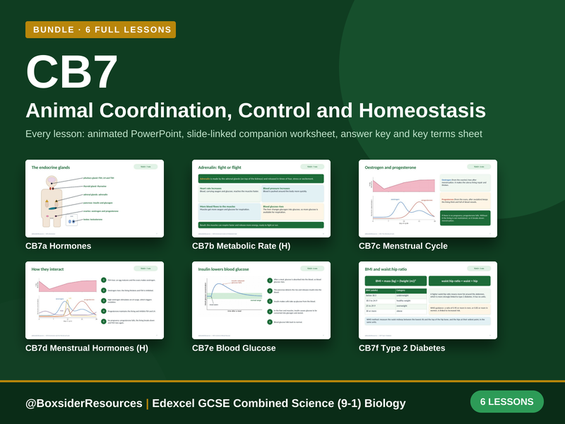 CB7 Animal Coordination, Control and Homeostasis | Edexcel Combined Science | 6 Lesson Bundle