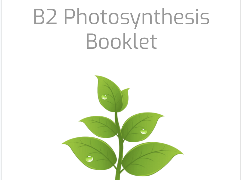 Lower Attaining GCSE Photosynthesis Booklet and slides