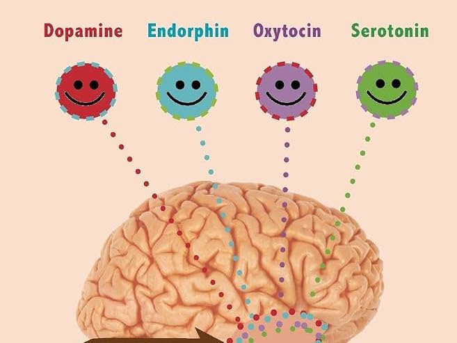 Human Growth and Development 'Happy Hormones'