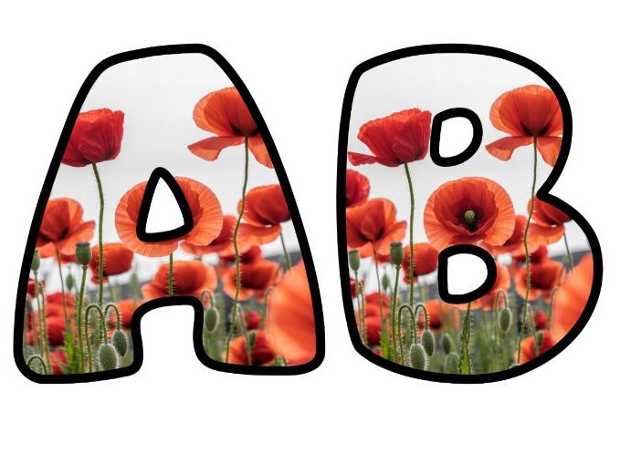 Many Poppies Alphabet Lettering Set | Classroom Display | Upper & Lowercase, 0-9