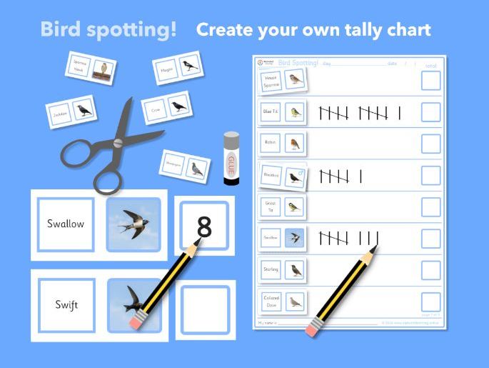 Bird Spotting - observe, record, count / Create your own tally sheet