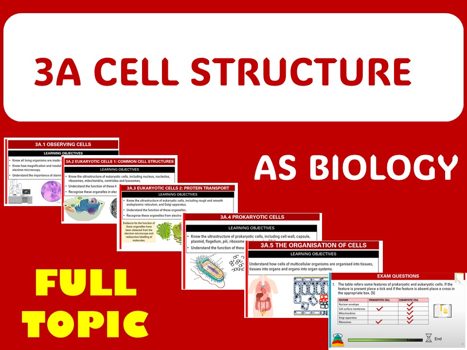 Cell structure - AS FULL TOPIC
