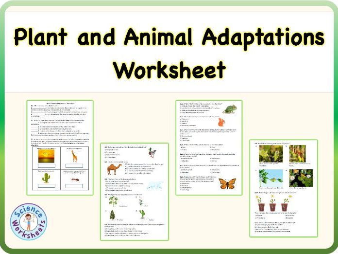 Plant and Animal Adaptations - Worksheet | Printable, KS3 Biology, Science