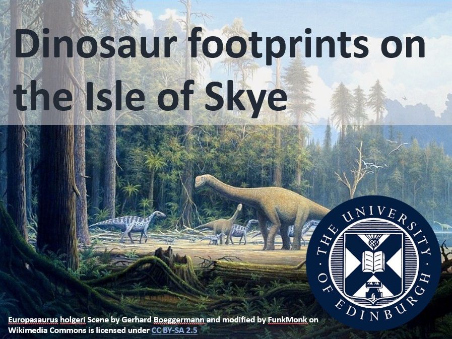 Dinosaur footprints on the Isle of Skye