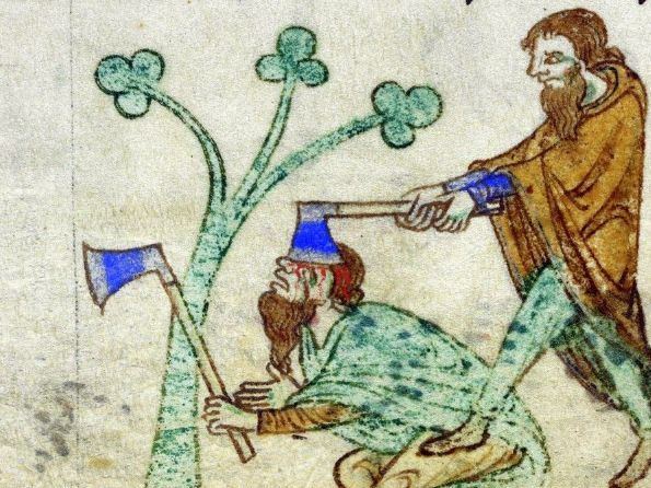 History of Ireland - Primary Evidence