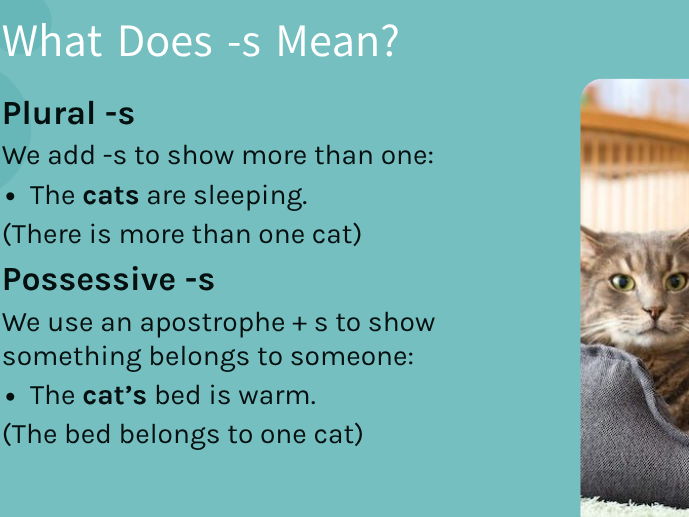 Plural vs Possessive