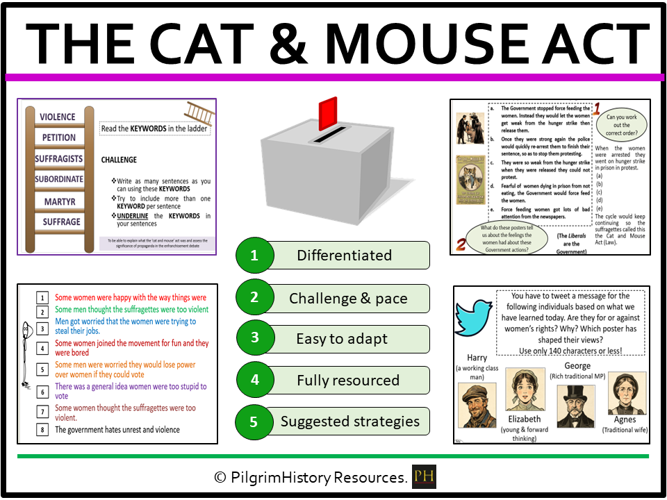 KS3 Suffragettes: How effective was the Cat and Mouse Act and Suffragette propaganda?