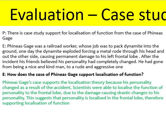 *New spec* AQA Psychology Biopsychology localisation of function