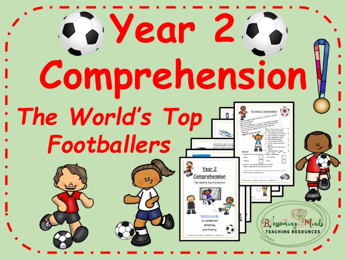 Year 2 Football World Cup 2026 Reading Comprehensions