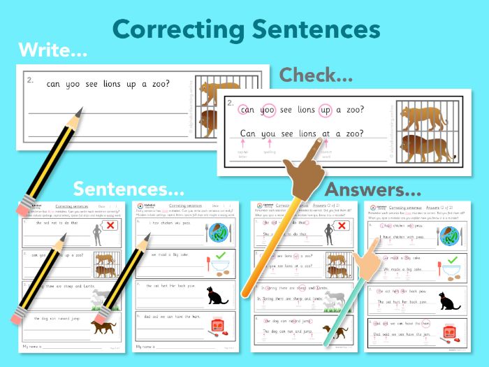 Correcting Sentences, reading and writing