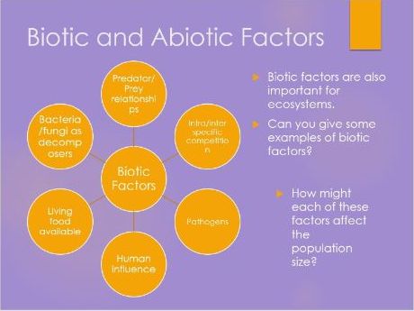 Populations, Niches and Ecosystems