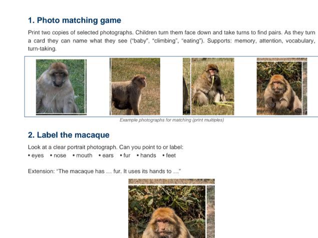 Barbary Macaque SEND Inclusive Activity Pack | Matching, Labelling, Counting, Sequencing & Money