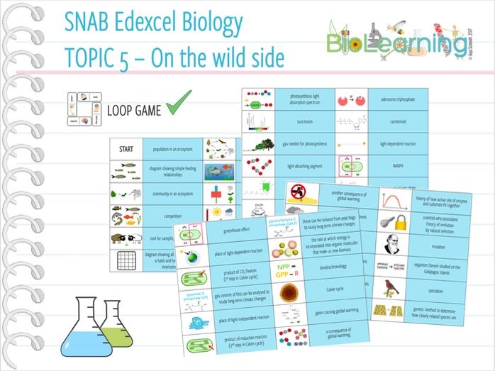 Edexcel biology a level specification 2020 image